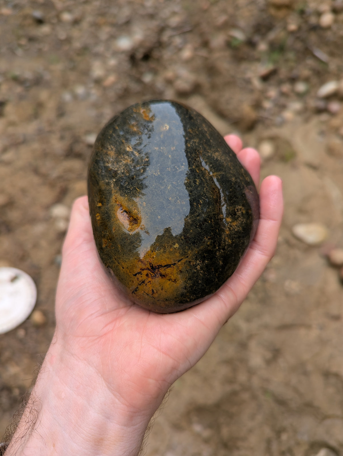 A hand holding a polished, smooth river stone with a glossy dark green and brown mottled surface, set against a blurred outdoor dirt background.